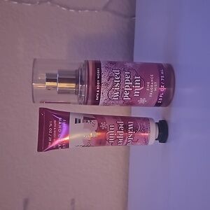 Bath and Bodyworks mini set!